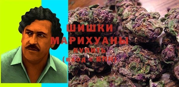 прущая мука Няндома